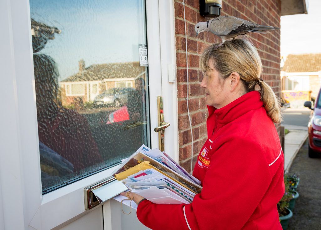 merpati suka duduk atas kepala orang susahkan posmen nak buat kerja