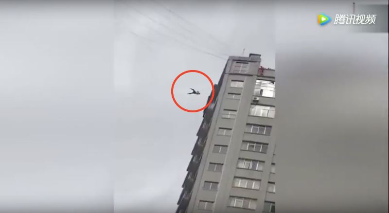 tak nak bayar bil hotel, lelaki ni panjat wayar telefon