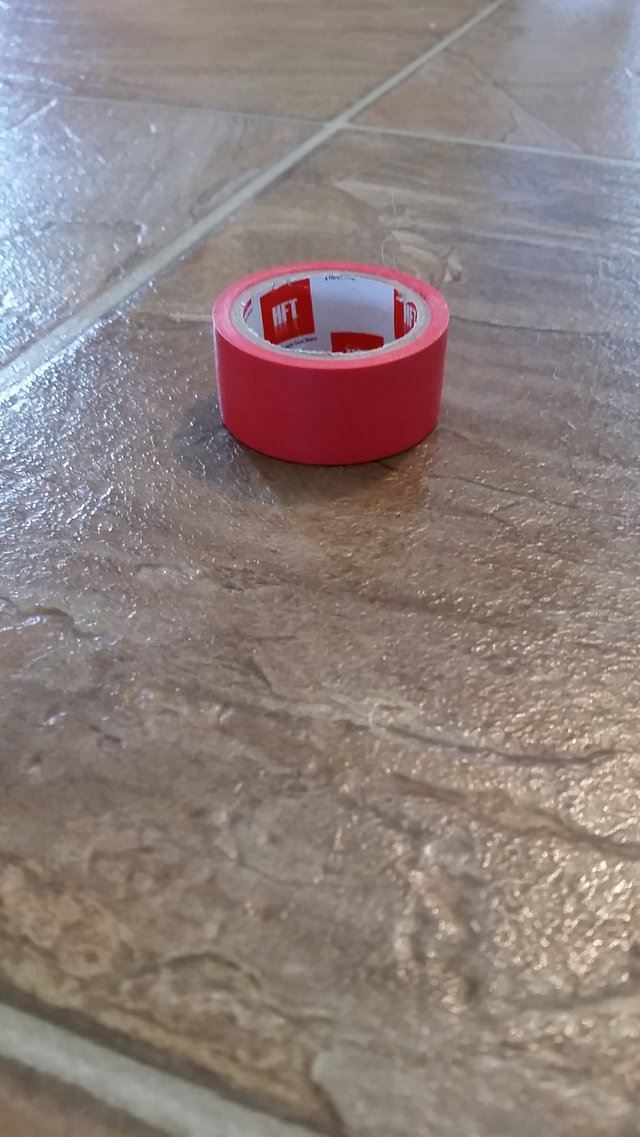 setiap hari kucing ini beri hadiah pada tuannya, termasuk sepasang kasut