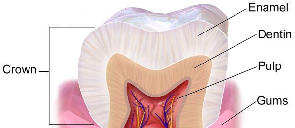 gigi kekuningan lebih sihat dan normal. ini sebabnya.