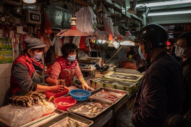 saintis beri amaran virus lebih bahaya dari covid-19 pada masa depan