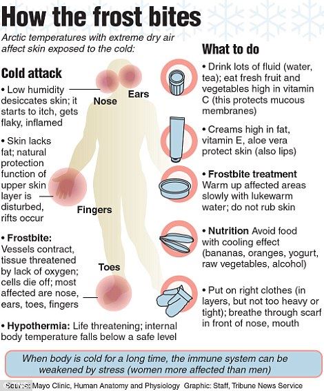 lelaki ini cipta rekod berdiri 2 jam 30 minit 57 saat dalam kotak ais
