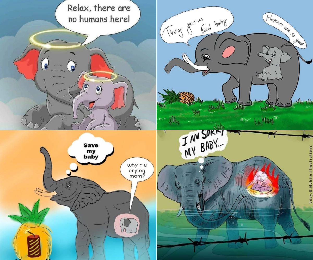 insiden gajah makan nenas diisi bahan letupan, ramai pelukis cipta lukisan khas buatnya