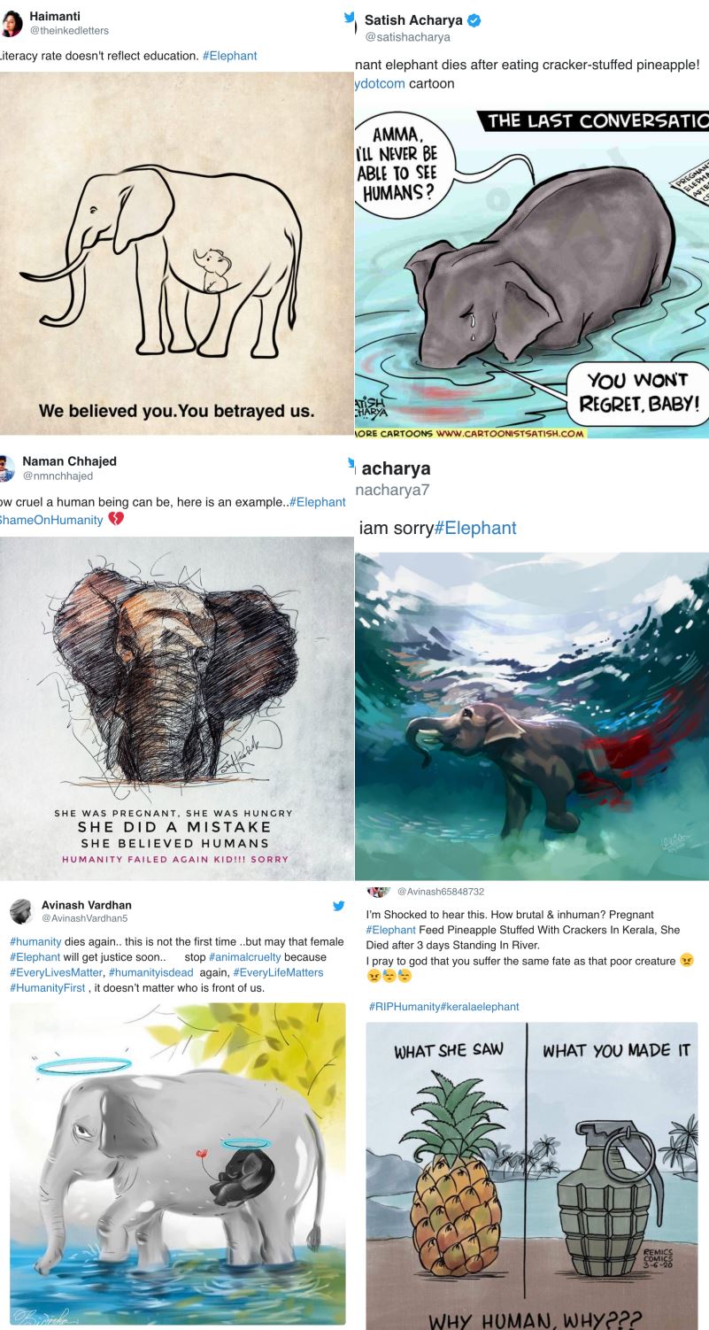 insiden gajah makan nenas diisi bahan letupan, ramai pelukis cipta lukisan khas buatnya