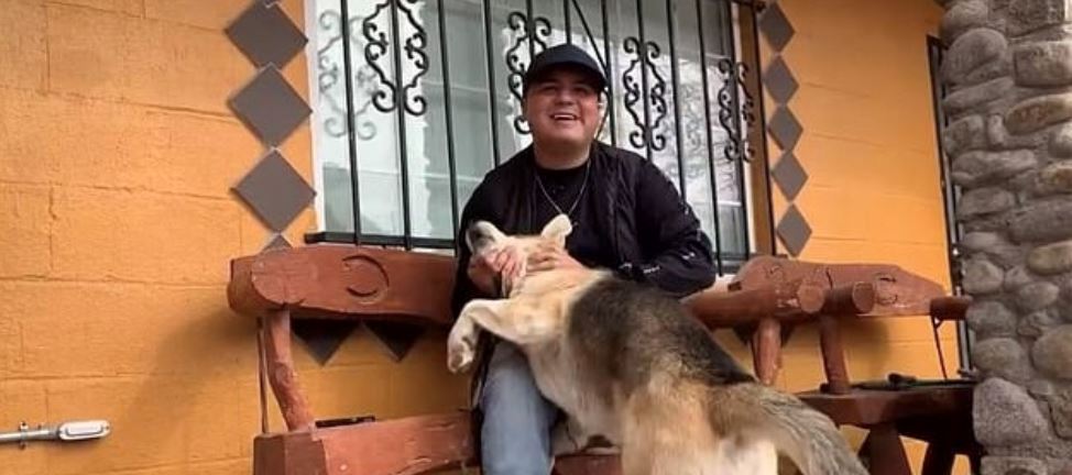 anjing tiba di balai polis untuk buat laporan dirinya telah hilang