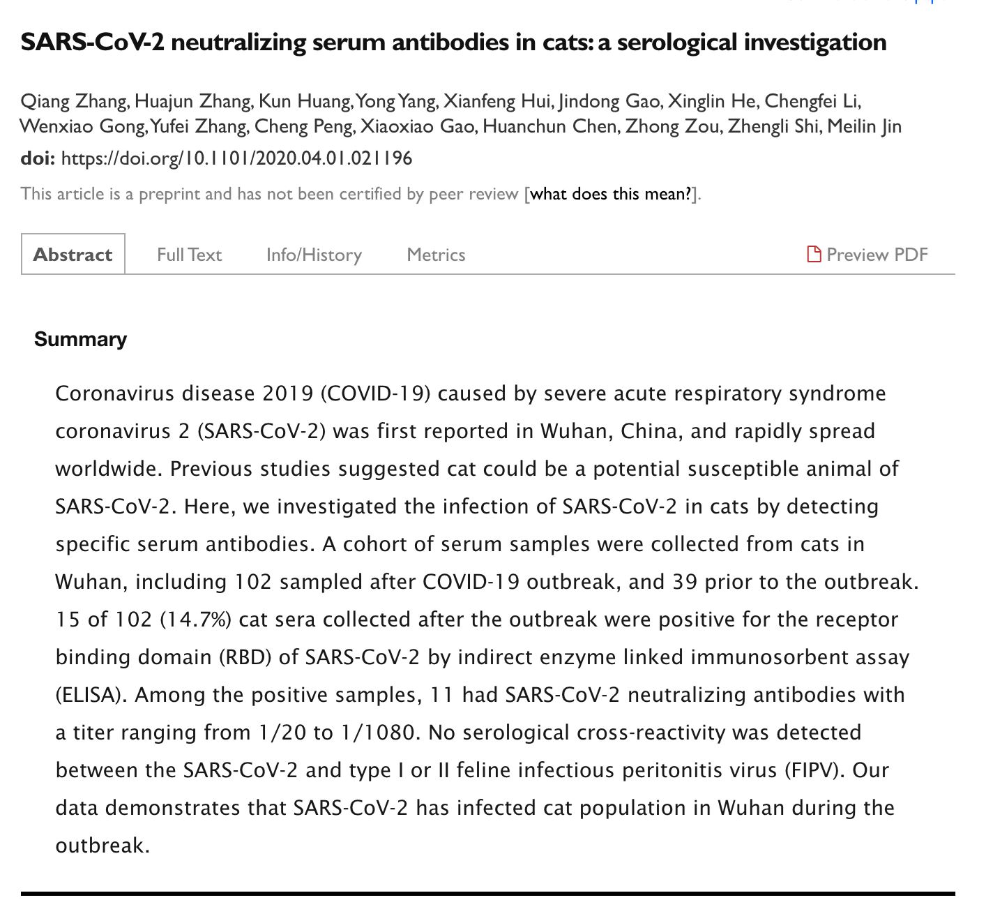 penyelidik dakwa kucing lebih senang terdedah kepada covid-19
