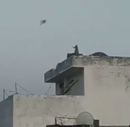 monyet dirakam main layang-layang ketika manusia sedang berkurung