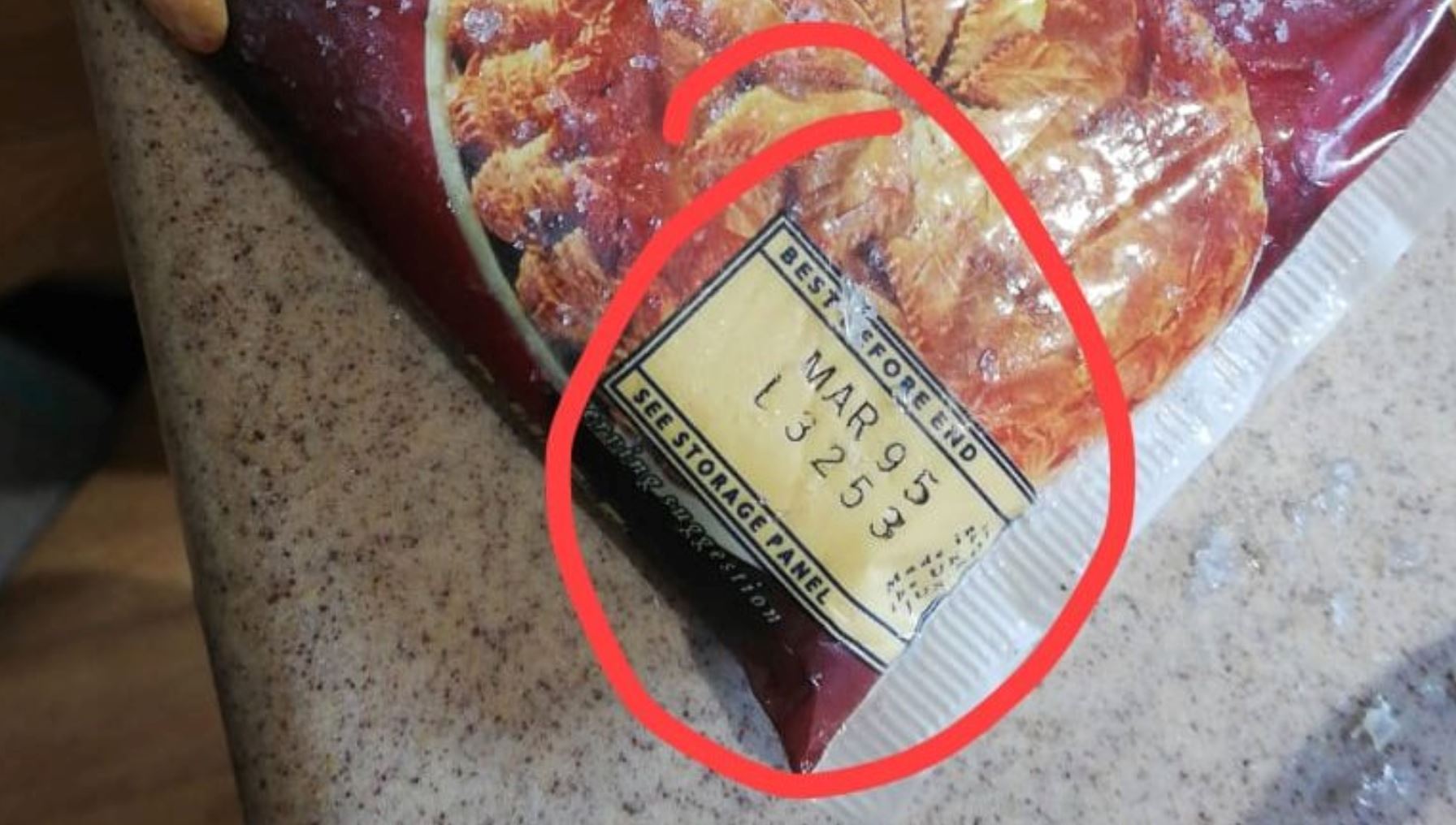 kemas peti sejuk terjumpa pastri puff expired tahun 1995, si ibu berani makan!