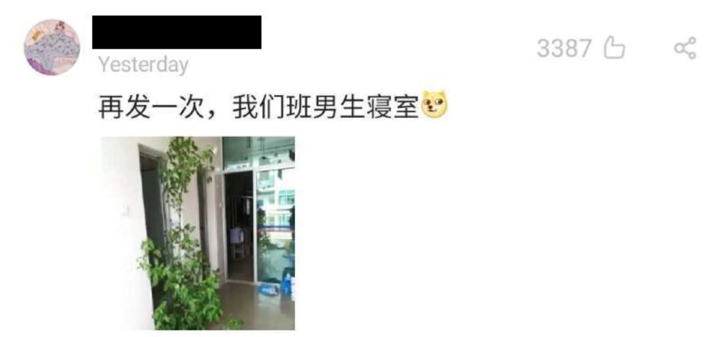 lama tak balik hostel, cendawan tumbuh dekat mop, pokok mula menjalar dalam asrama