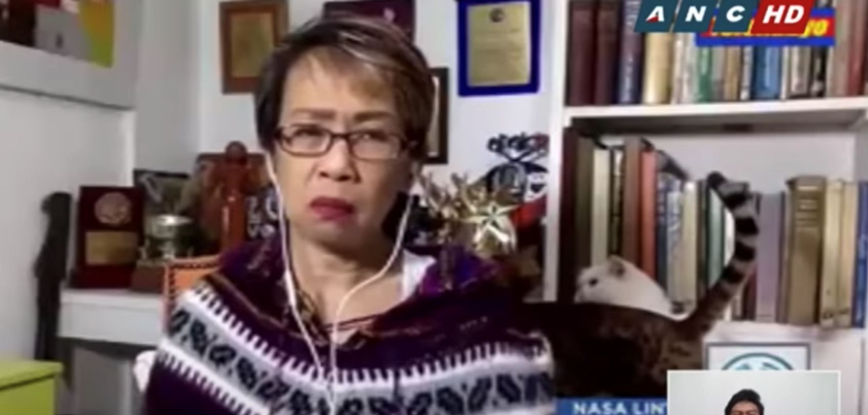 kucing bergaduh ketika live, wartawan filipina kekal tenang kerja dari rumah