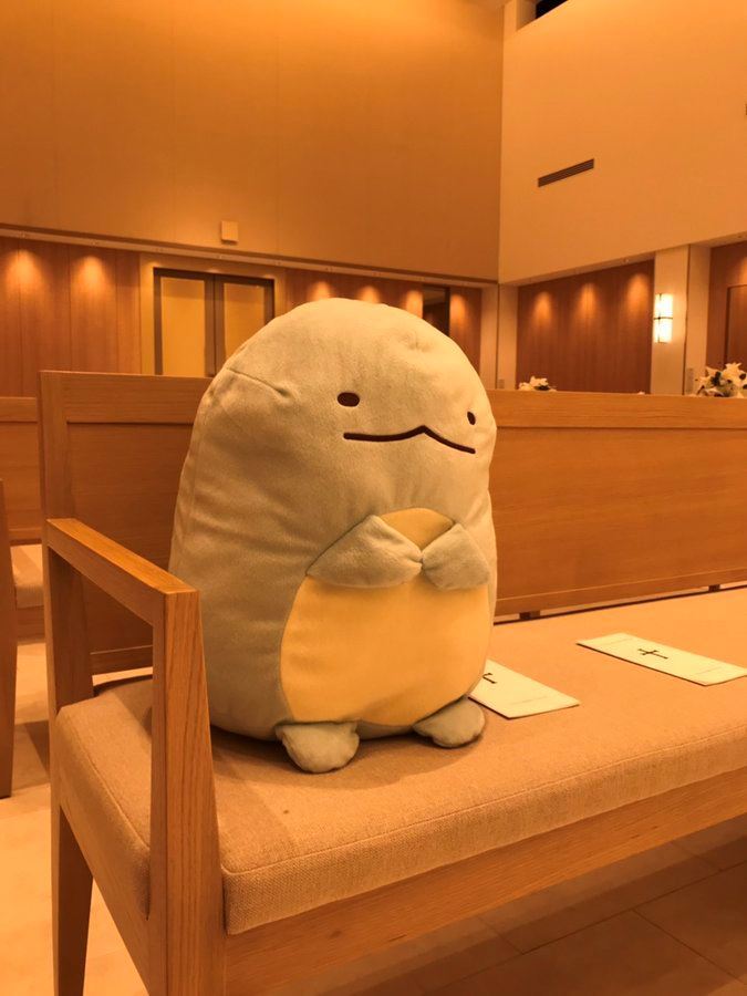 wanita jadikan bantal busuk sebagai tetamu vip di majlis perkahwinannya