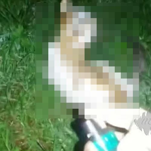 ganjaran hingga rm10,000 kepada pemberi maklumat insiden bakar kucing hidup-hidup