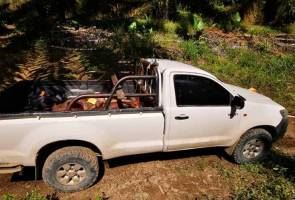 ketika rakyat duduk rumah, sekumpulan pemburu haram ini sibuk berburu di hutan