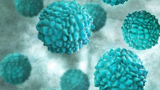 Mahasiswa Universiti Di China Kini Diserang Norovirus
