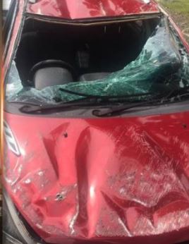 al-fatihah, sandra dianne kini disahkan meninggal dunia