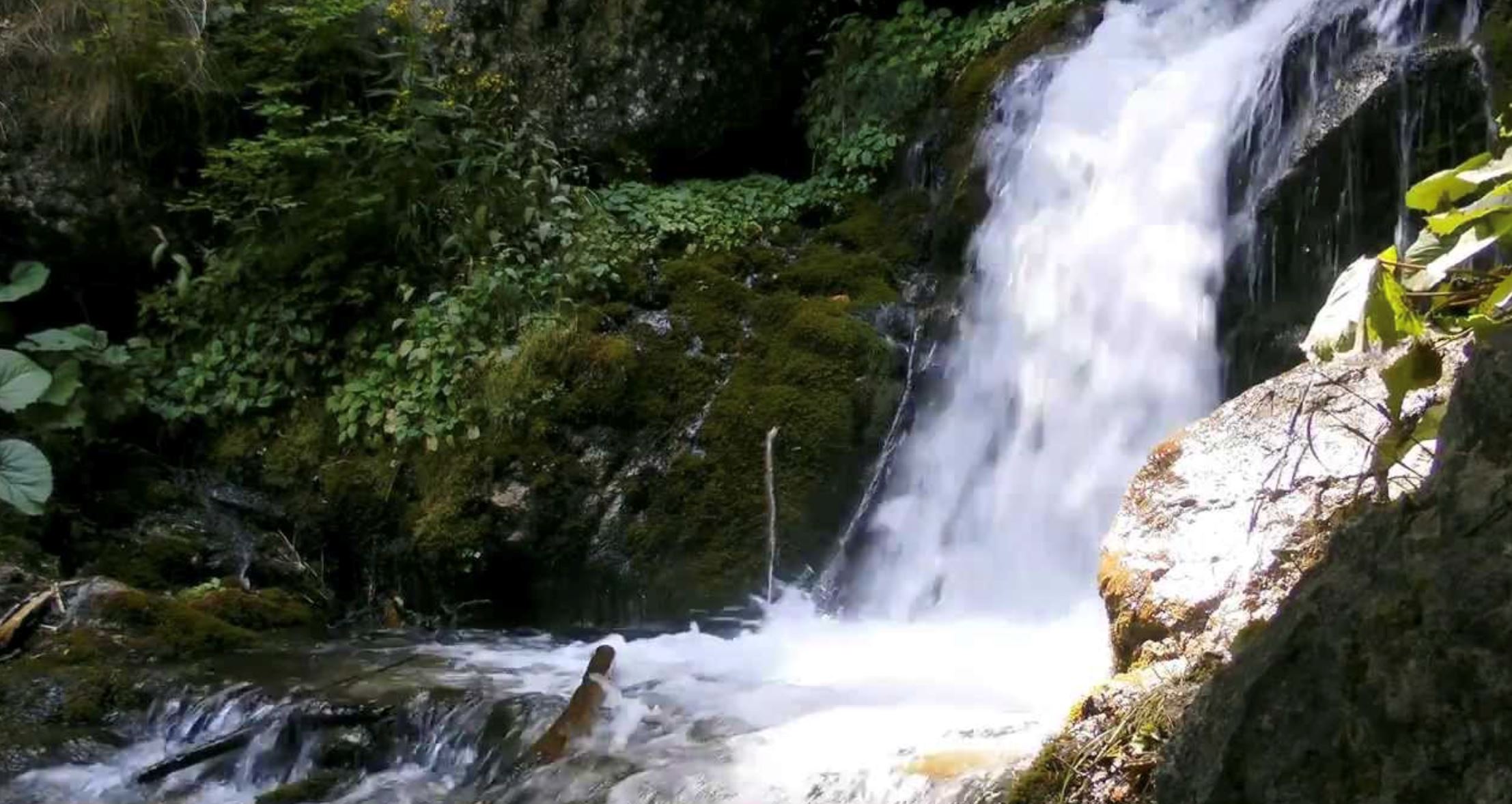 tak boleh bermalam jika buat aktiviti redah hutan, pendakian dan perkhemahan