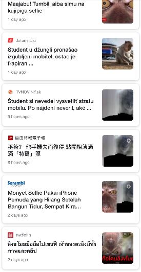 pemilik raih populariti hingga luar negara lepas monyet larikan telefon bimbit