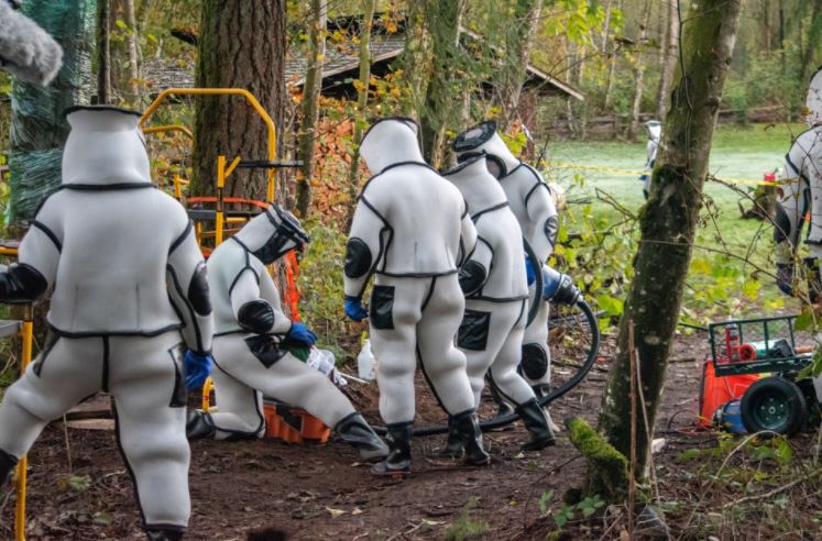 tebuan ini dipasang alat penjejak supaya tahu mana sarangnya