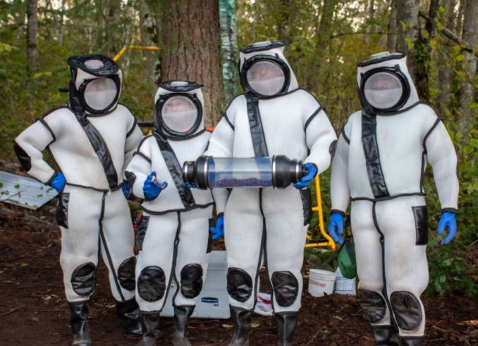 tebuan ini dipasang alat penjejak supaya tahu mana sarangnya