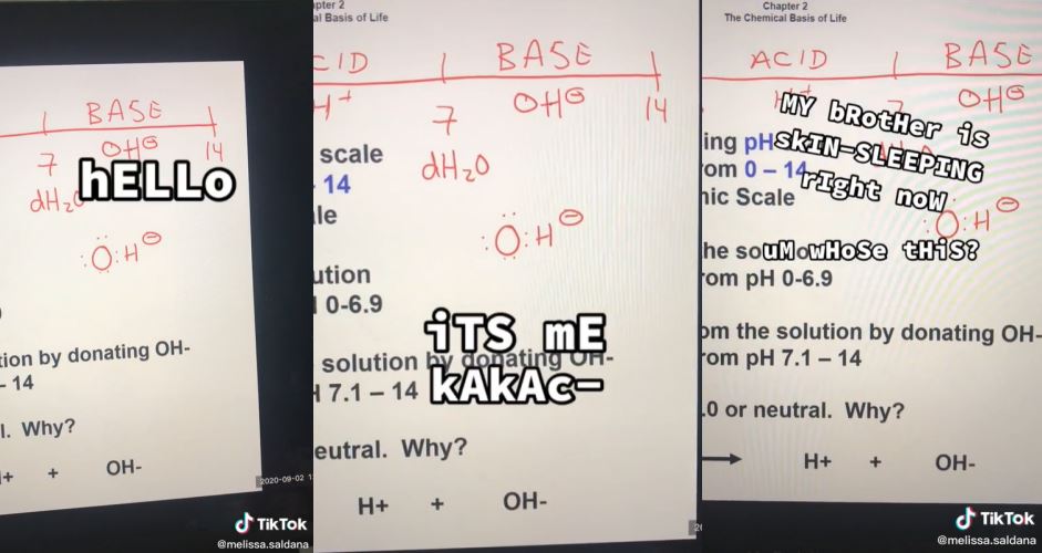 adik kantoikan abang tengah sedap tidur masa kelas online, ‘‘hello, siapa ni..?’’