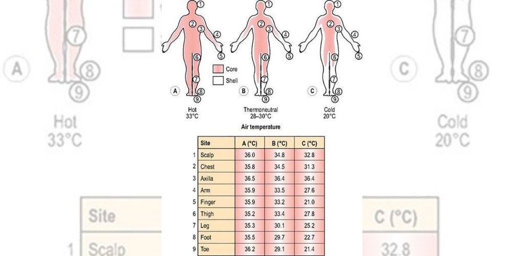 baca suhu pada dahi lebih tepat banding anggota badan lain