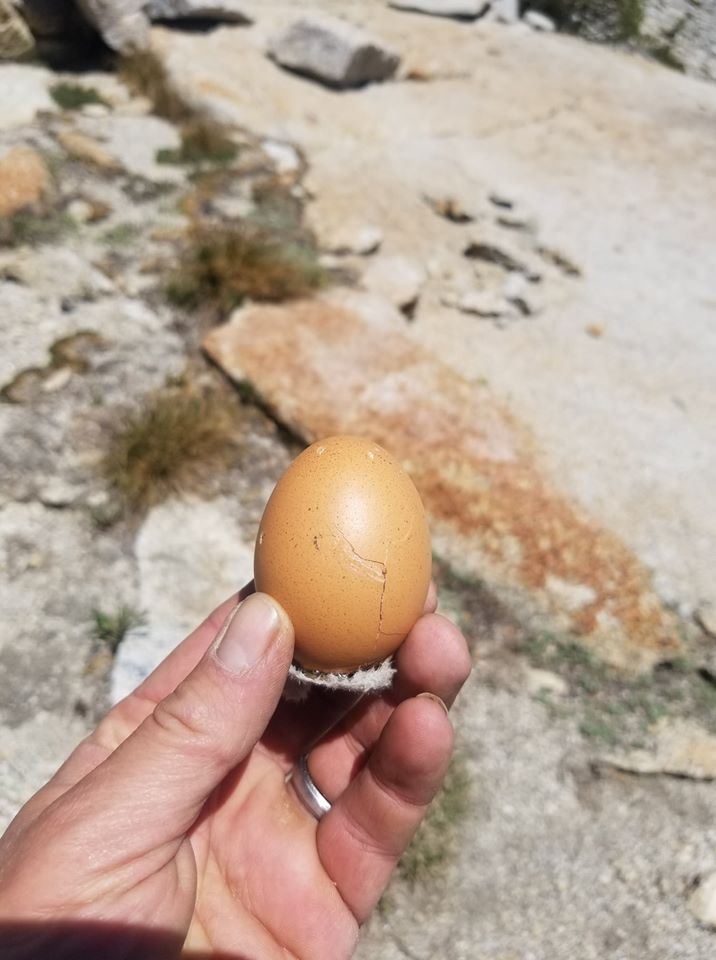 dua biji telur dihantar ke angkasa lepas, tak pecah walau jatuh ke bumi