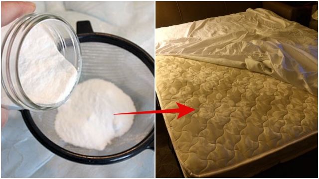 tilam kepam dan kotor? boleh guna baking soda nak nampak macam baru