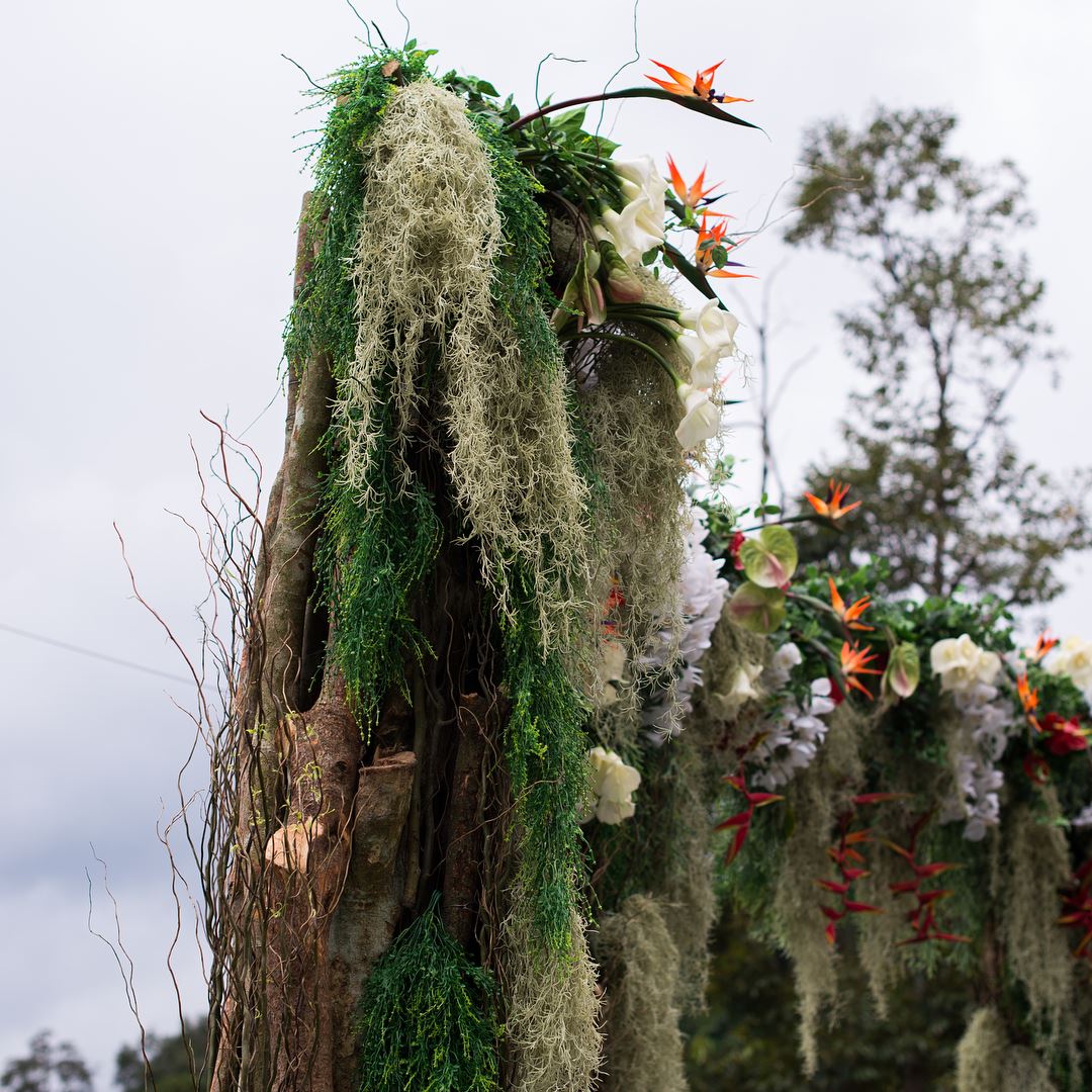 wedding planner dedah harga pelamin yuna yang viral