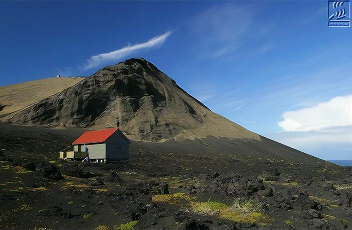 ada orang langgar arahan bawa benih tomato di pulau larangan di iceland