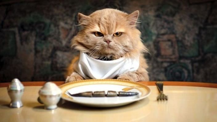 kenapa bila lapar je senang marah ?