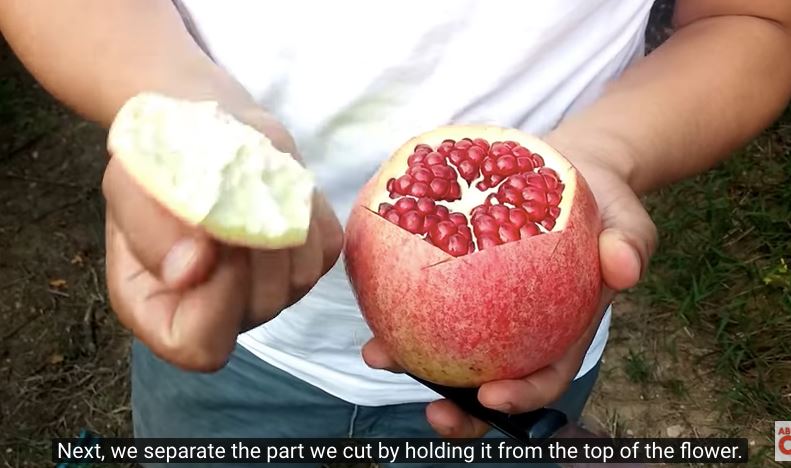 senangnya nak potong buah delima tanpa rosakkan isi buah. tiru cara ni 