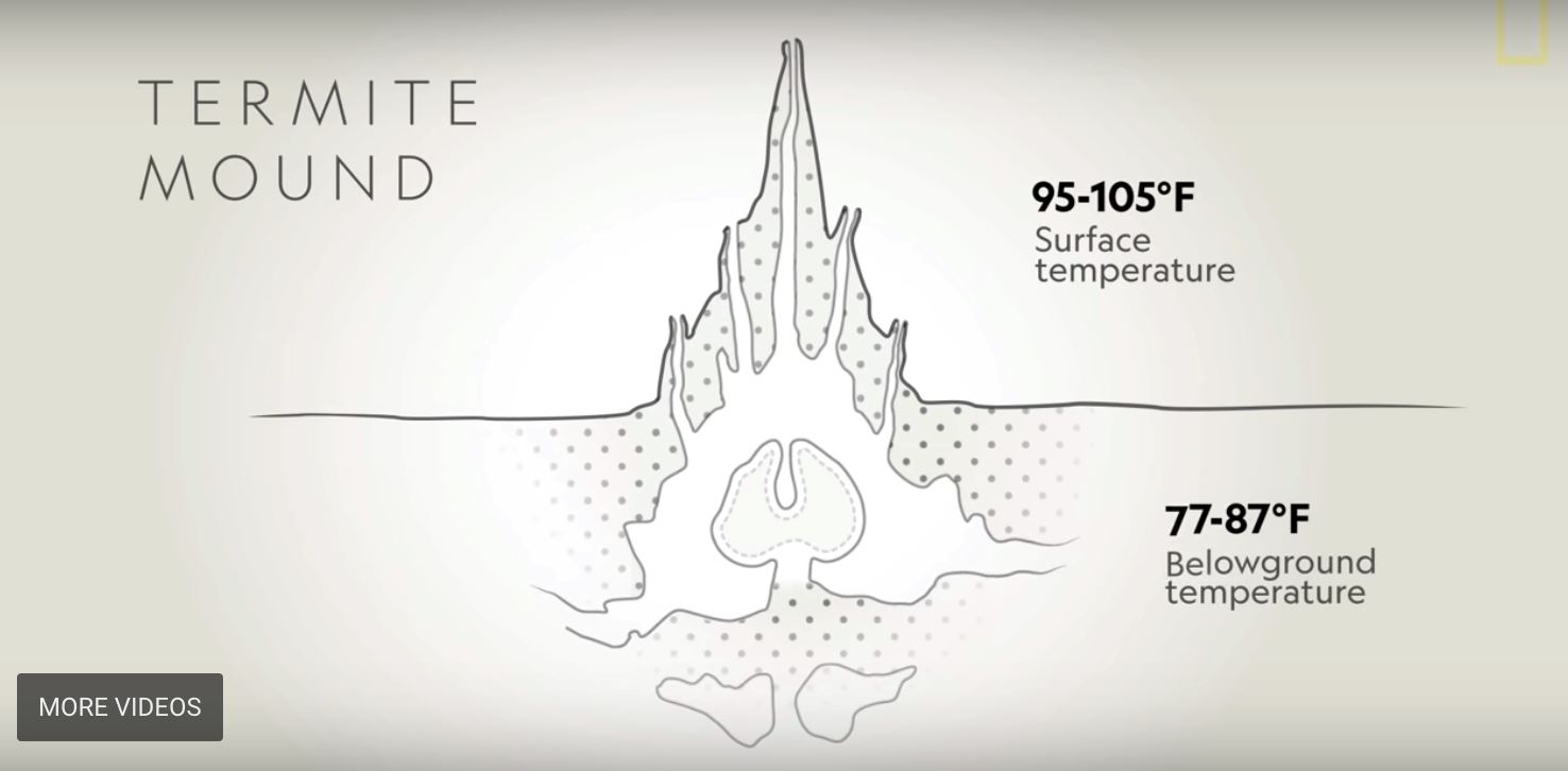 anai-anai sebagai ilham, bangunan ini mampu sejuk sendiri tanpa air cond