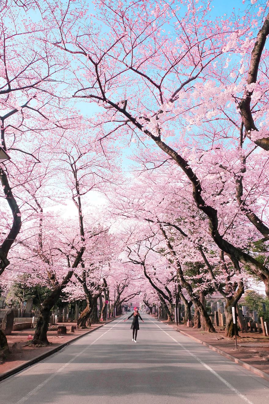 setiap gambar bercuti ni ada emoji tersorok. cuba cari !