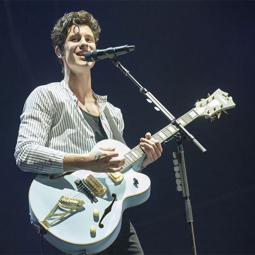 shawn mendes terjatuh dari pentas dan respond netizen memang funny!