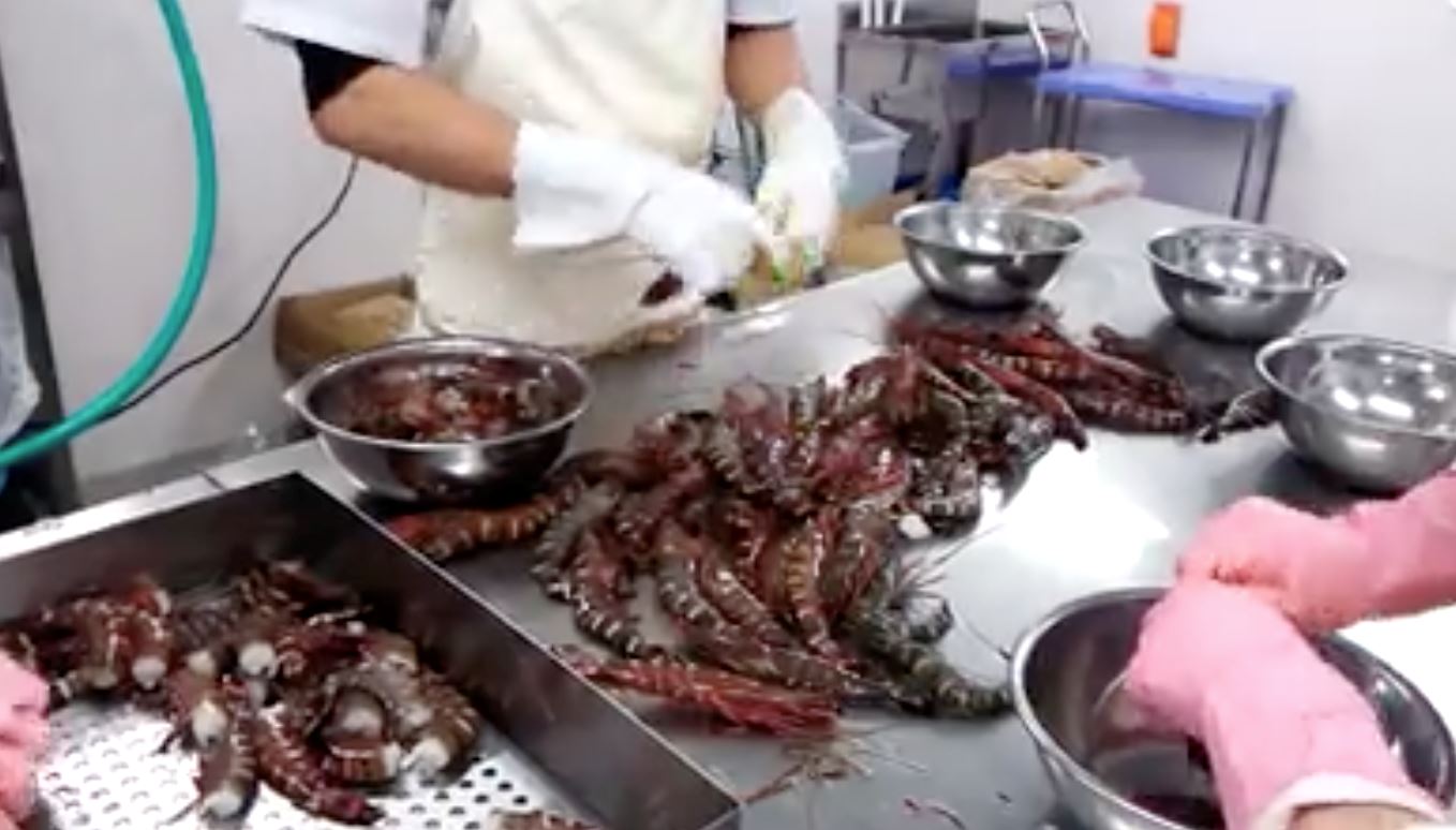 kerja dekat kilang ni paling best sebab boleh masuk kerja dan cuti ikut suka