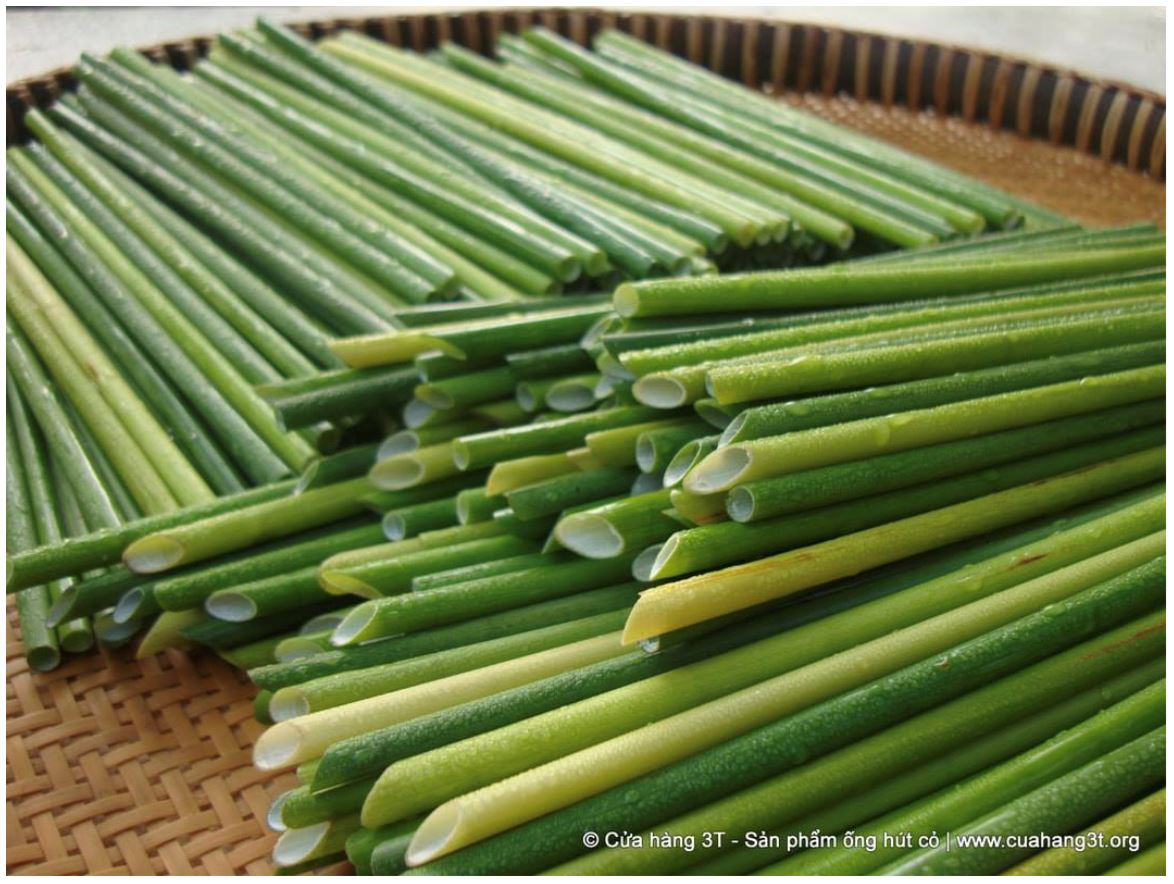lebih 2 juta tontonan, ini adalah straw yang diperbuat daripada rumput