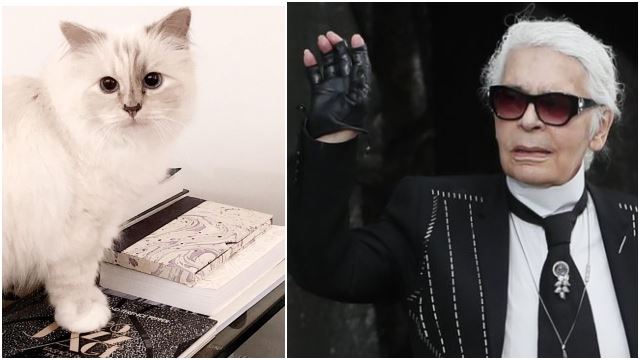 pereka fesyen terkenal karl lagerfeld meninggal dunia, kucing antara pewaris harta rm700 juta