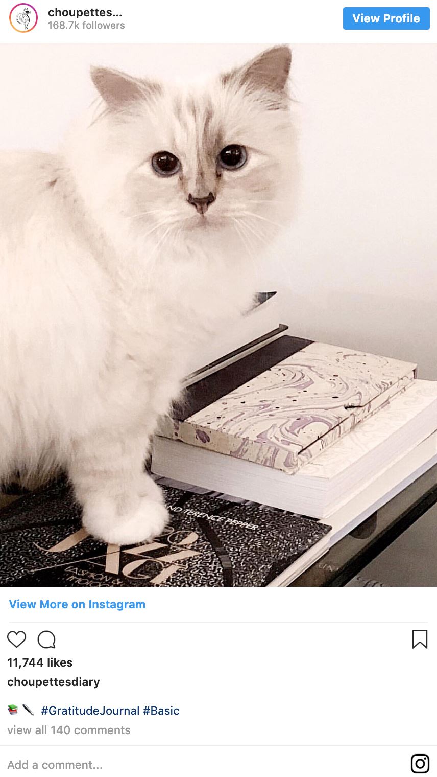 pereka fesyen terkenal karl lagerfeld meninggal dunia, kucing antara pewaris harta rm700 juta