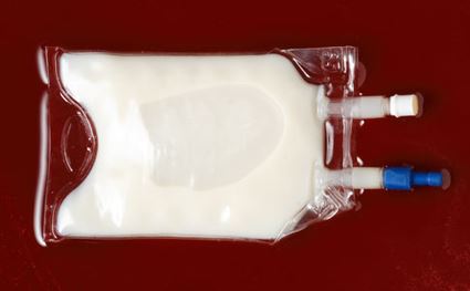 lelaki banyak sangat lemak hingga buatkan darahnya jadi warna putih