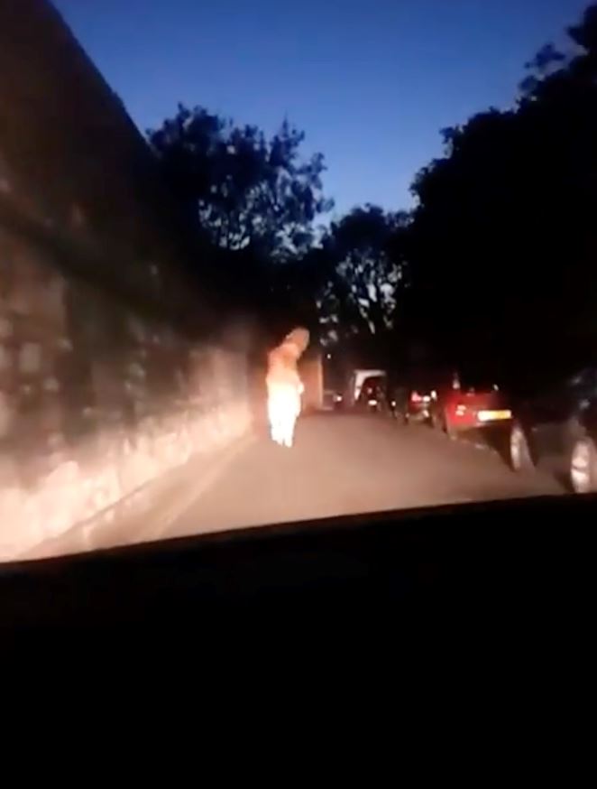 salah satu punca pupus, dinosaur lari lintang pukang dikejar polis