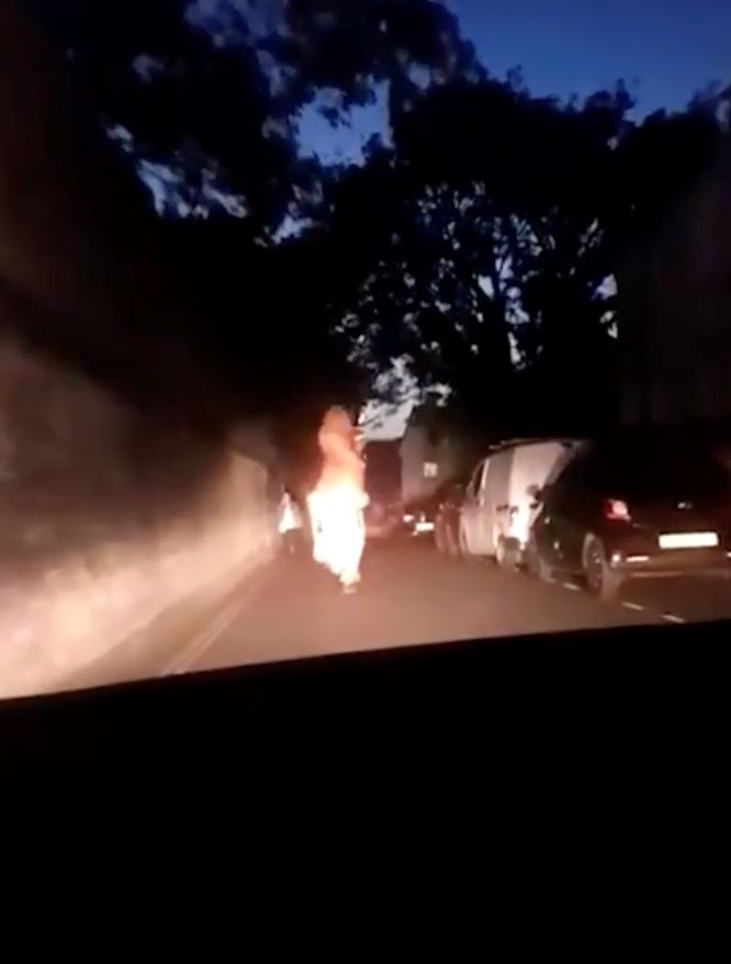 salah satu punca pupus, dinosaur lari lintang pukang dikejar polis