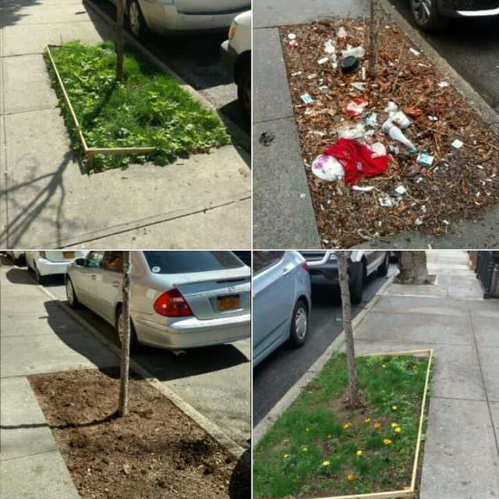 trash challenge, trend baru di laman sosial dapat respon positif