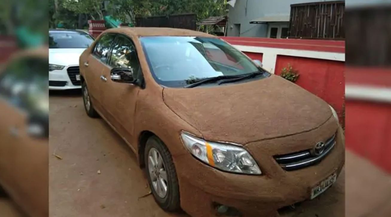 cuaca panas sangat punca pemilik ini lumur najis lembu pada kereta