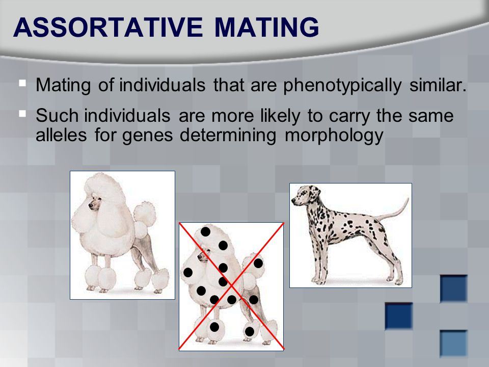 ini kajian sebab kenapa wajah kita seiras dengan pasangan