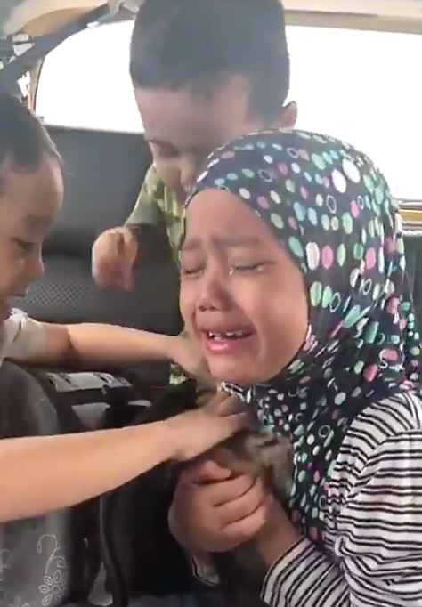 lebih 370 ribu view, kanak-kanak menangis gembira dapat hadiah anak kucing