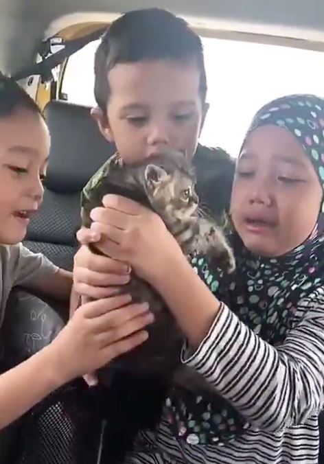 lebih 370 ribu view, kanak-kanak menangis gembira dapat hadiah anak kucing