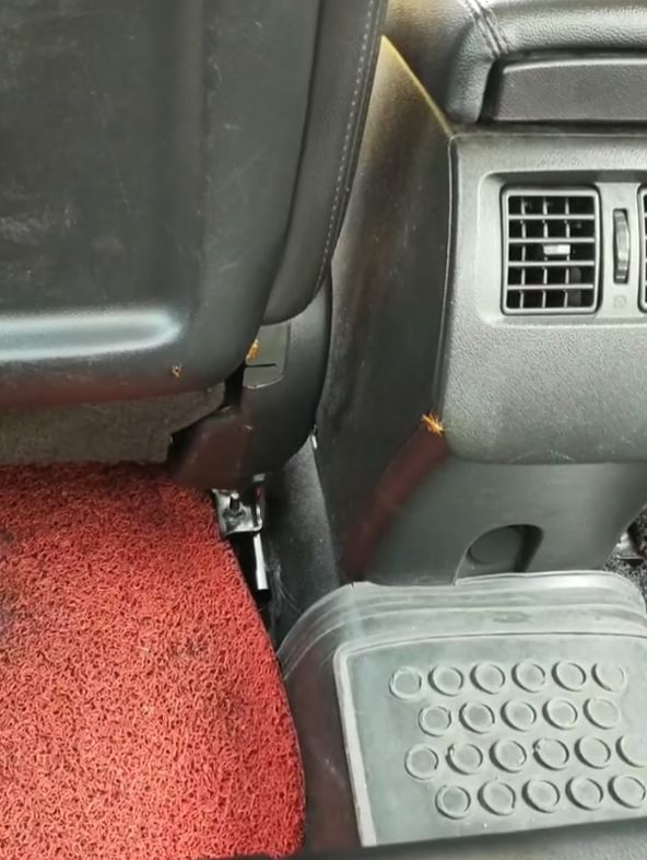 penumpang teksi terkejut lipas tiba-tiba muncul selepas bau makanan