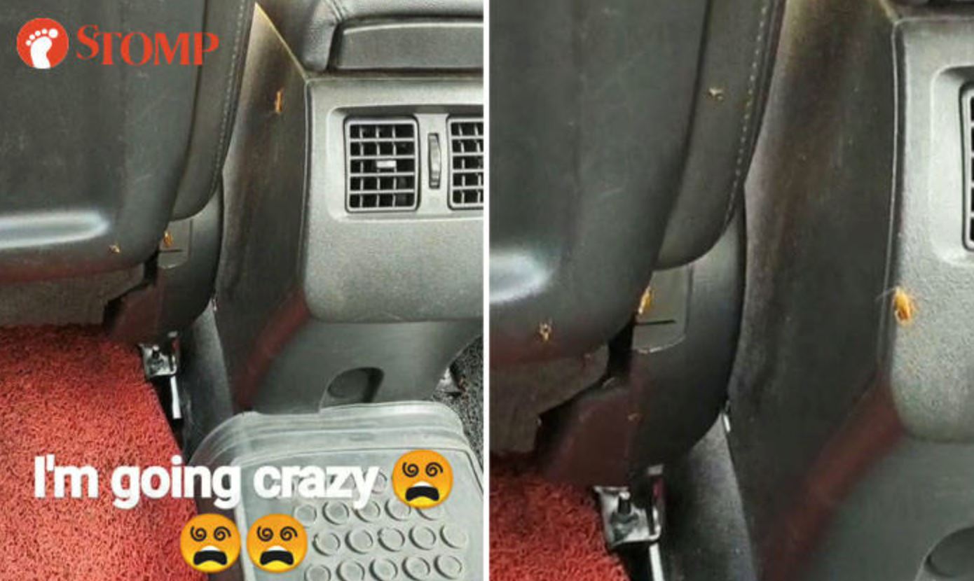 penumpang teksi terkejut lipas tiba-tiba muncul selepas bau makanan