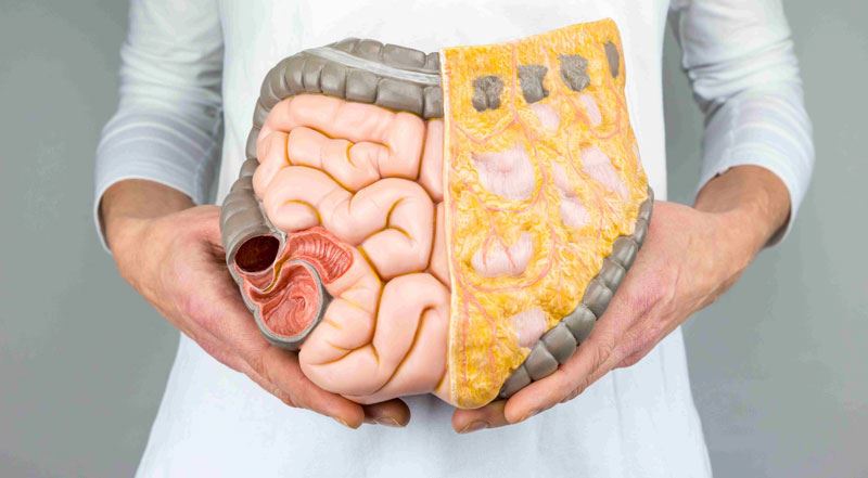 rasa cepat letih dan perasan diri cepat tua? puncanya mungkin tersorok dalam perut anda!