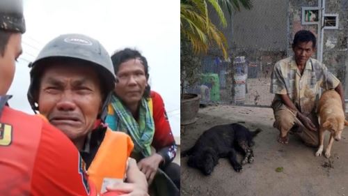 Banjir Tidak Pisahkan Mereka,  Warga Emas Viral Meraung Tidak Sangka Anjingnya Selamat Daripada Banjir